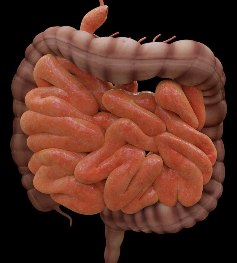 Reizdarm-Syndrom, Symptome, Heilpraktiker Landkreis Rosenheim