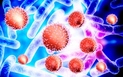 Chronische Infektionen – Rolf Jansen-Rosseck